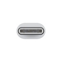 Adaptador Apple USB-C a conector lightning2